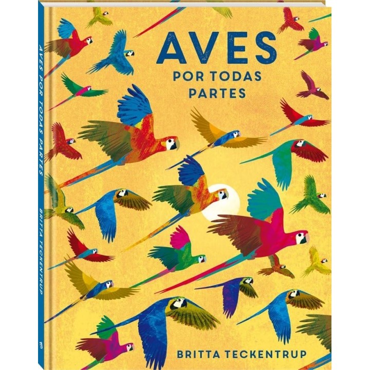 Aves por todas partes