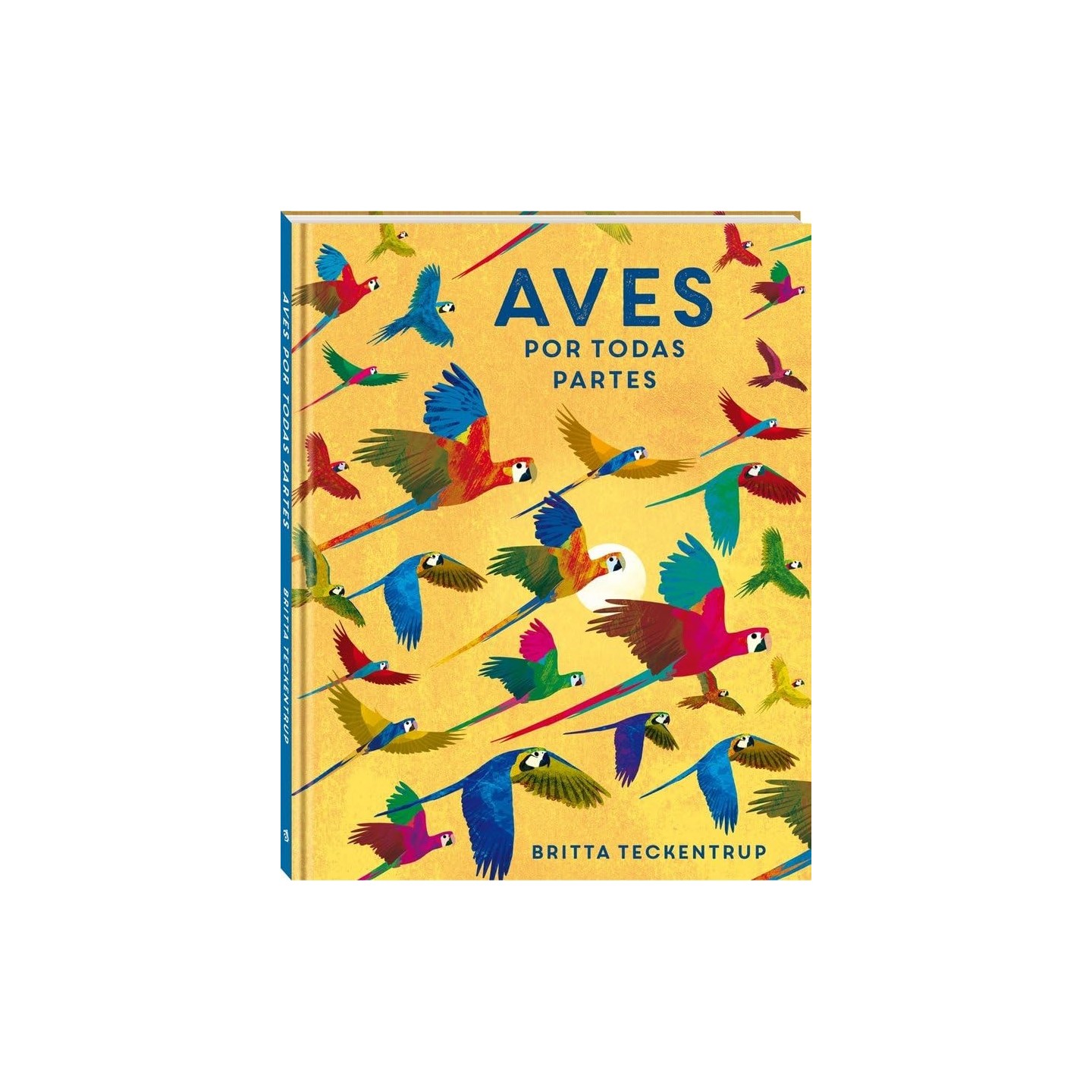 Aves por todas partes