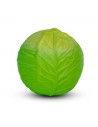 Baby Ball Col Verde