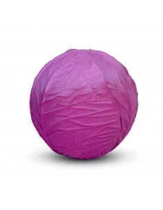 Baby Ball Col Morada