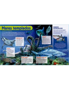 Construye tu diorama - Animales del mar 2