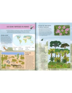 Capa a capa - Descubre la selva 2