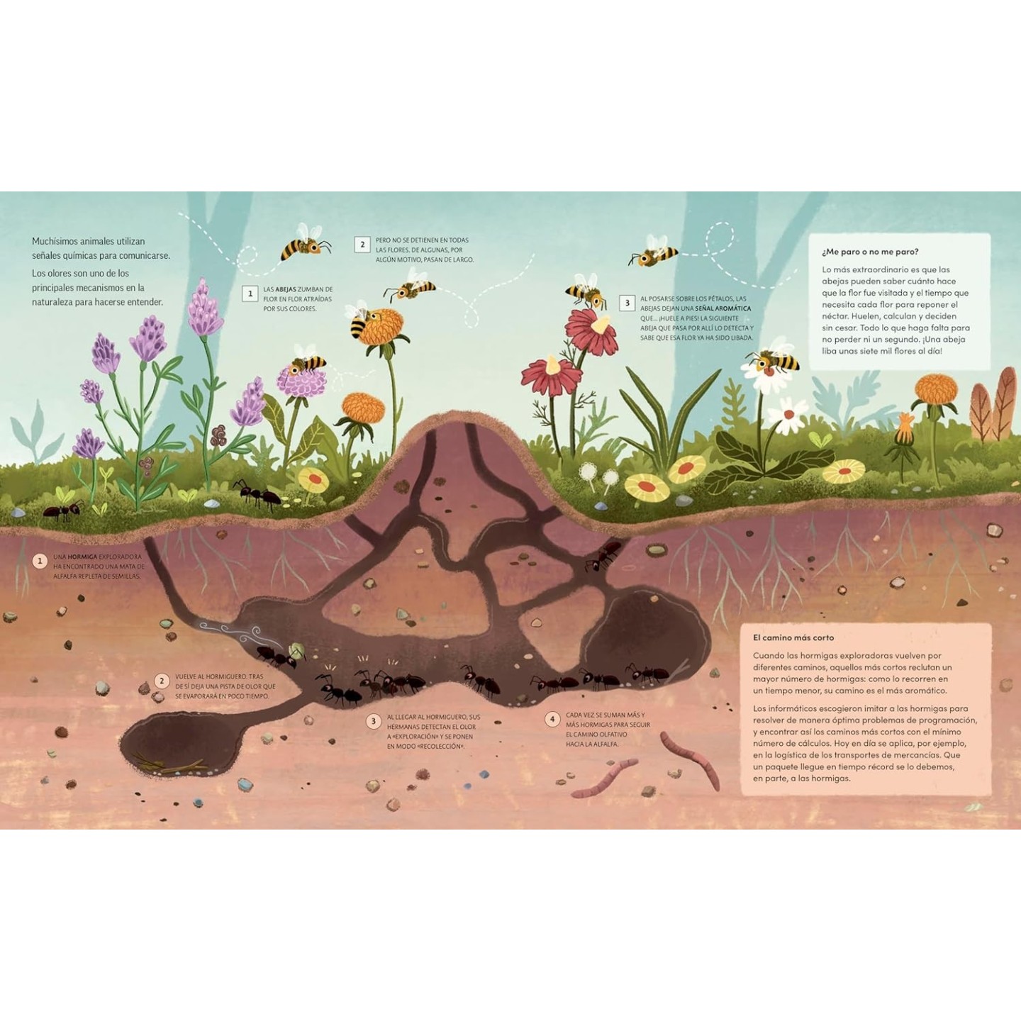 Plantas que hablan, animales que cantan