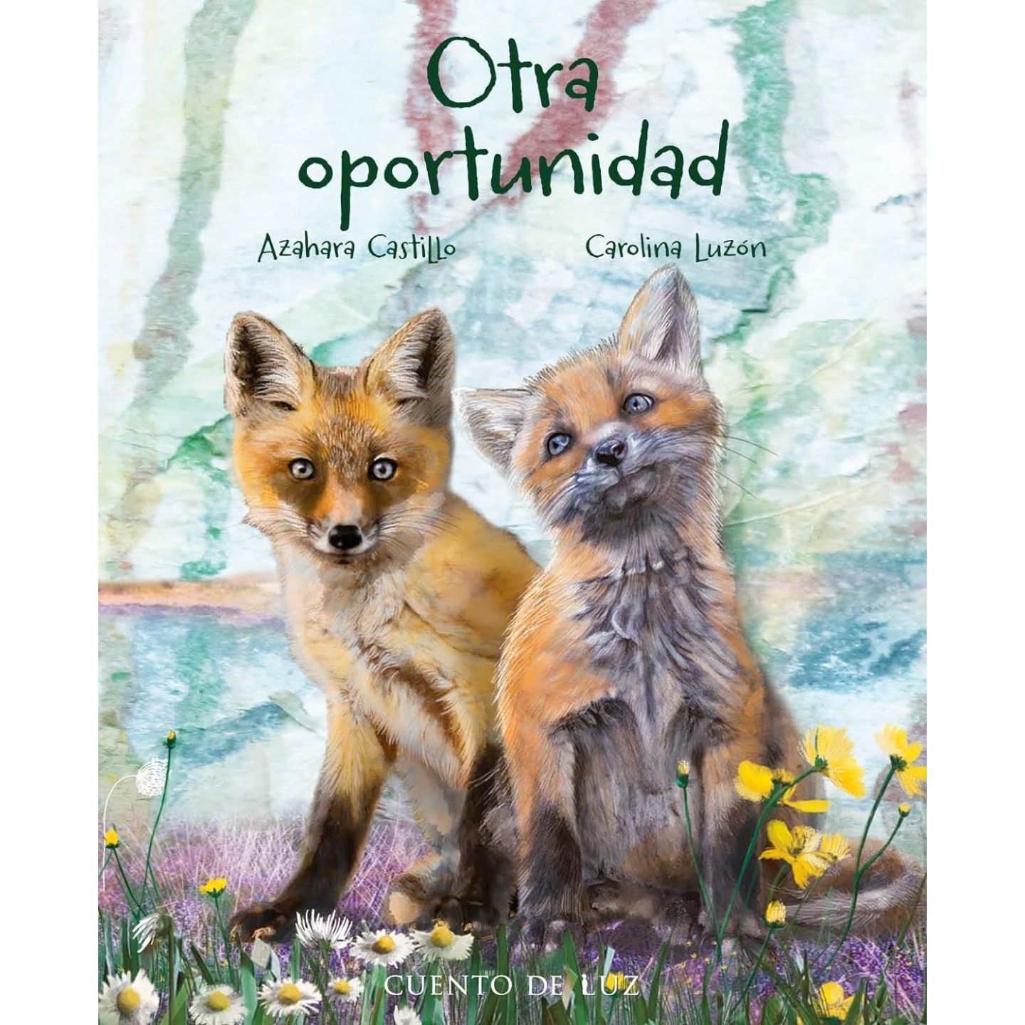 Otra oportunidad