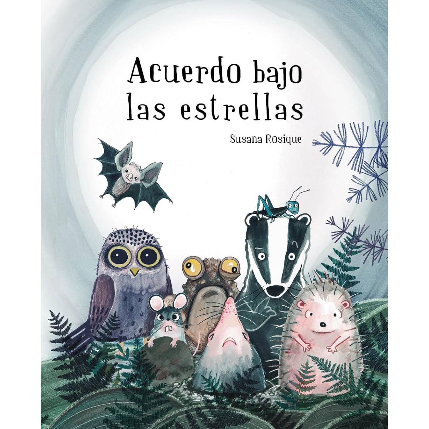 Acuerdo bajo las estrellas
