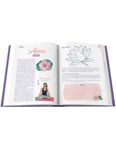 El mono Yogui 2