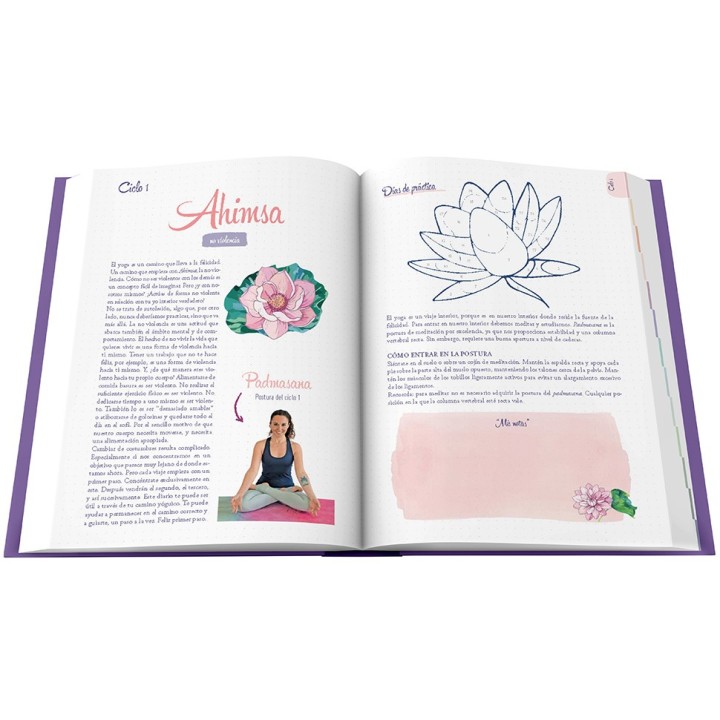 El mono Yogui
