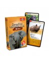Cartas Desafíos Naturaleza - Africa
