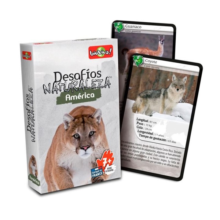 Cartas Desafíos Naturaleza - América