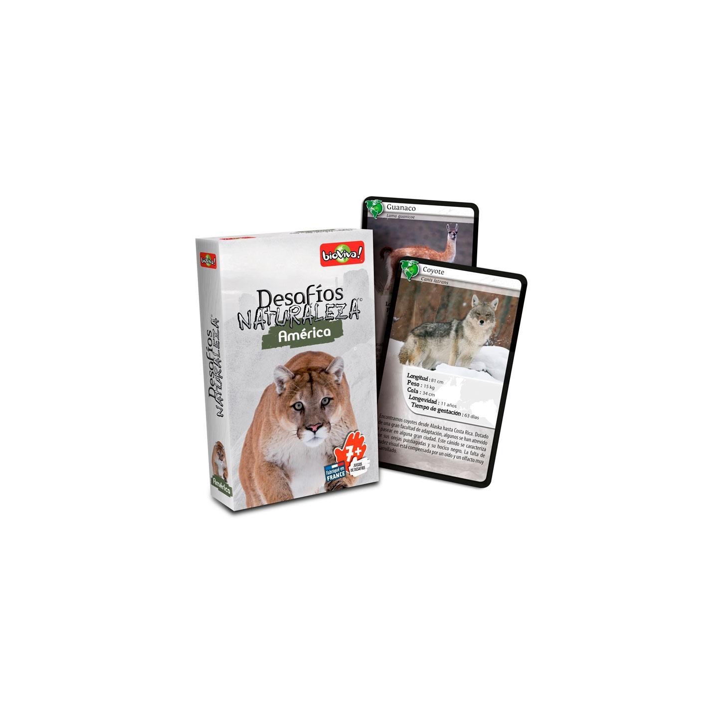 Cartas Desafíos Naturaleza - América