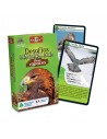 Cartas Desafios Naturaleza - Aves Rapaces
