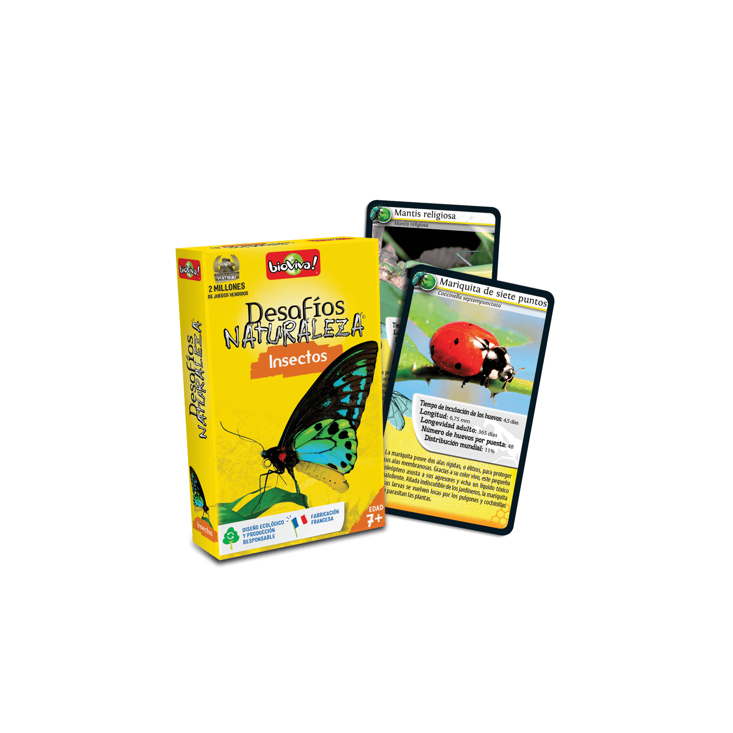 Cartas Desafíos Naturaleza - Insectos