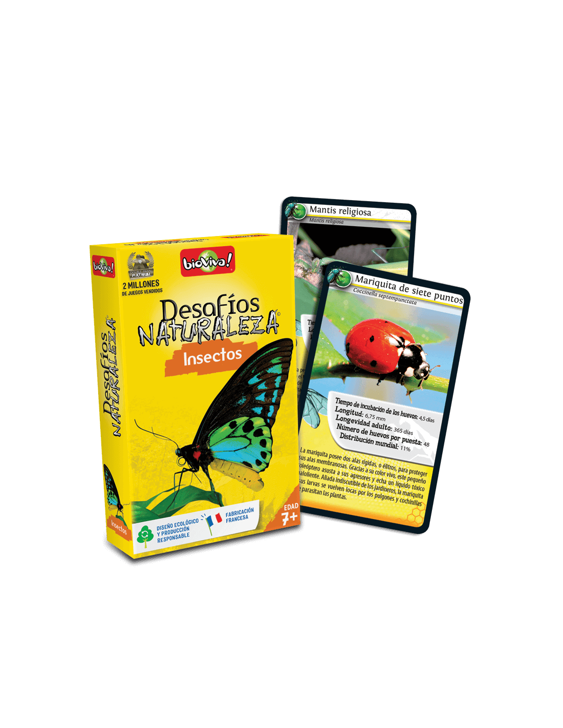 Cartas Desafíos Naturaleza - Insectos