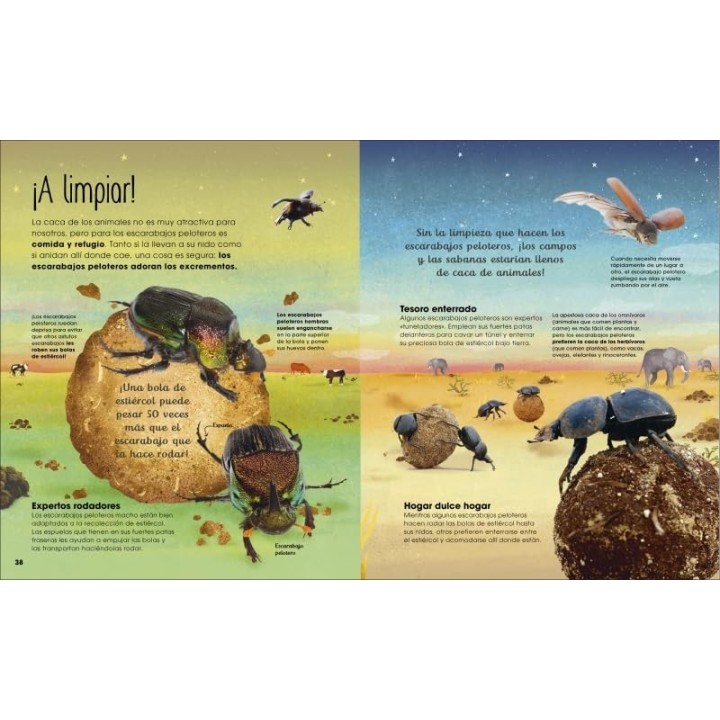 La vida secreta de los insectos
