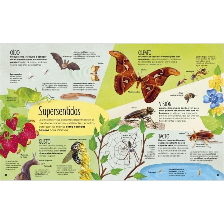 La vida secreta de los insectos