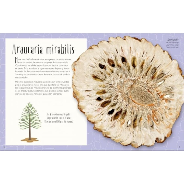 Antología de dinosaurios y vida prehistórica
