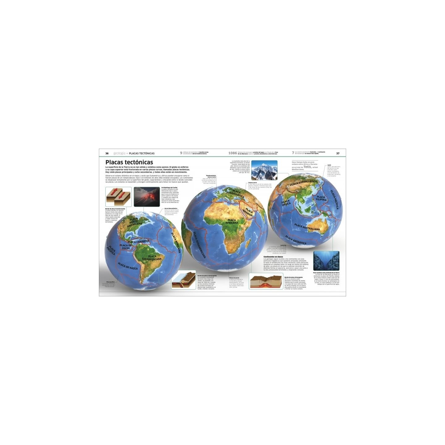 Planeta Tierra