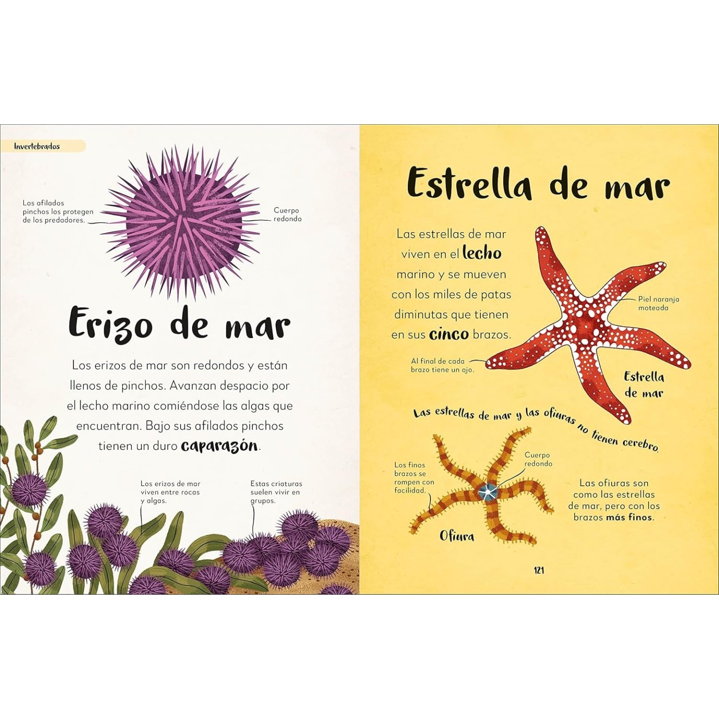 MI PRIMER LIBRO DE ANIMALES