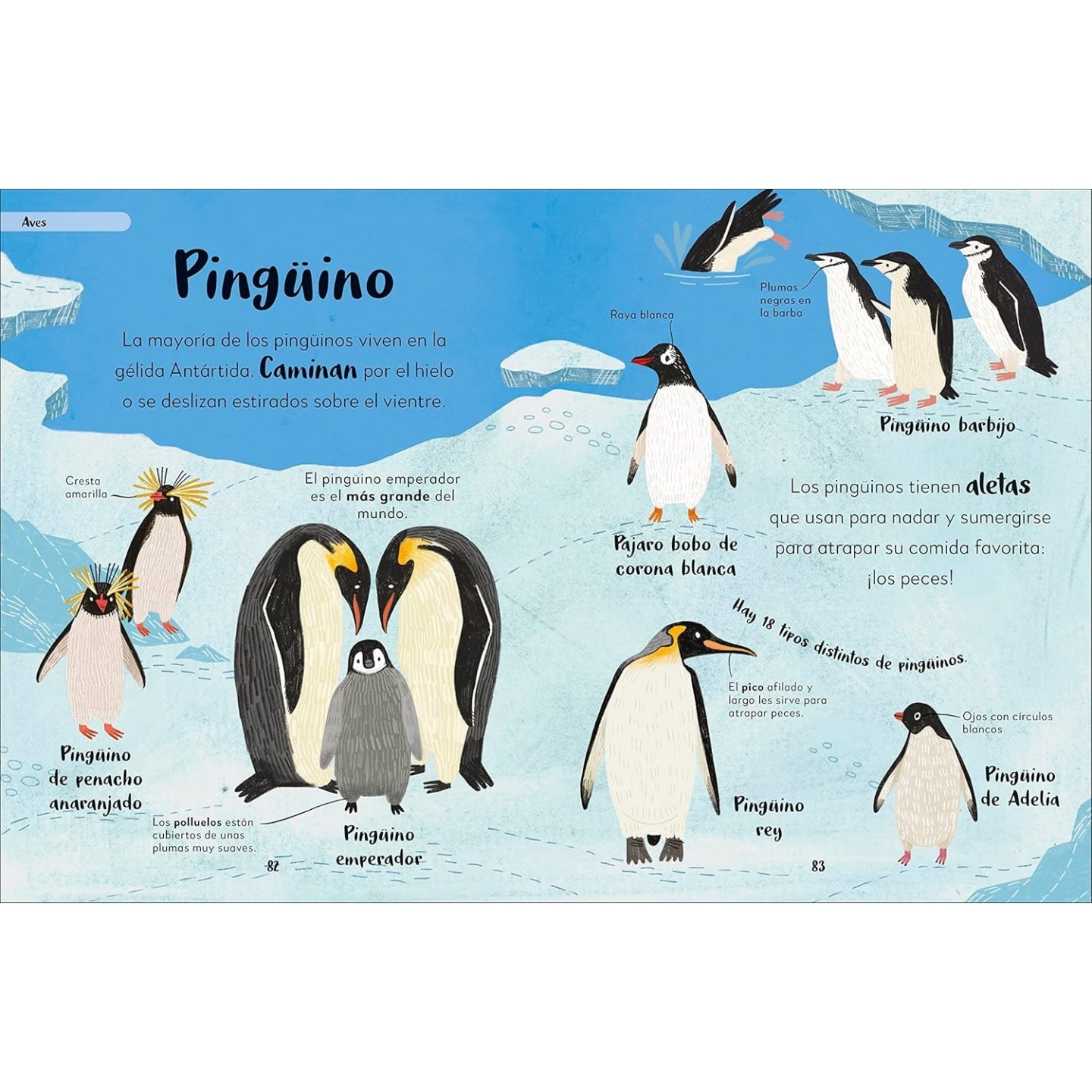 MI PRIMER LIBRO DE ANIMALES