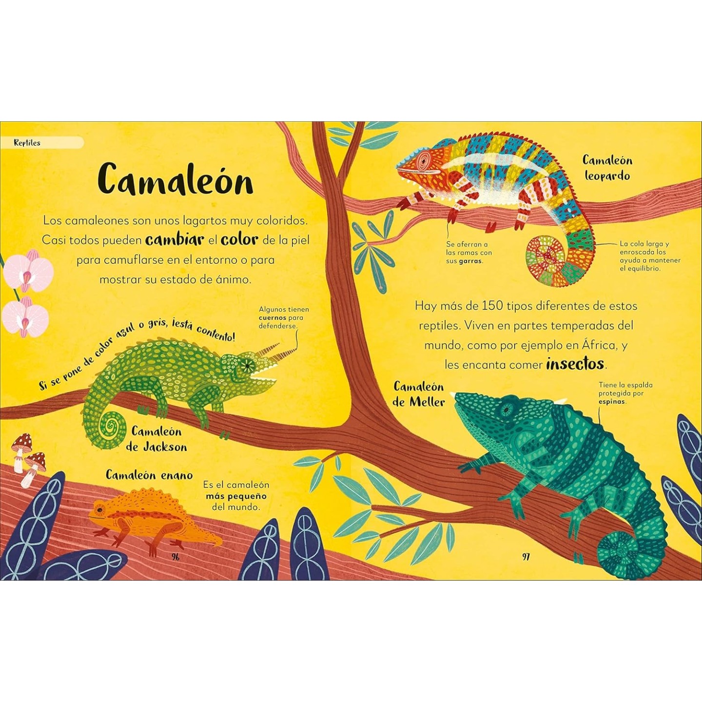 MI PRIMER LIBRO DE ANIMALES