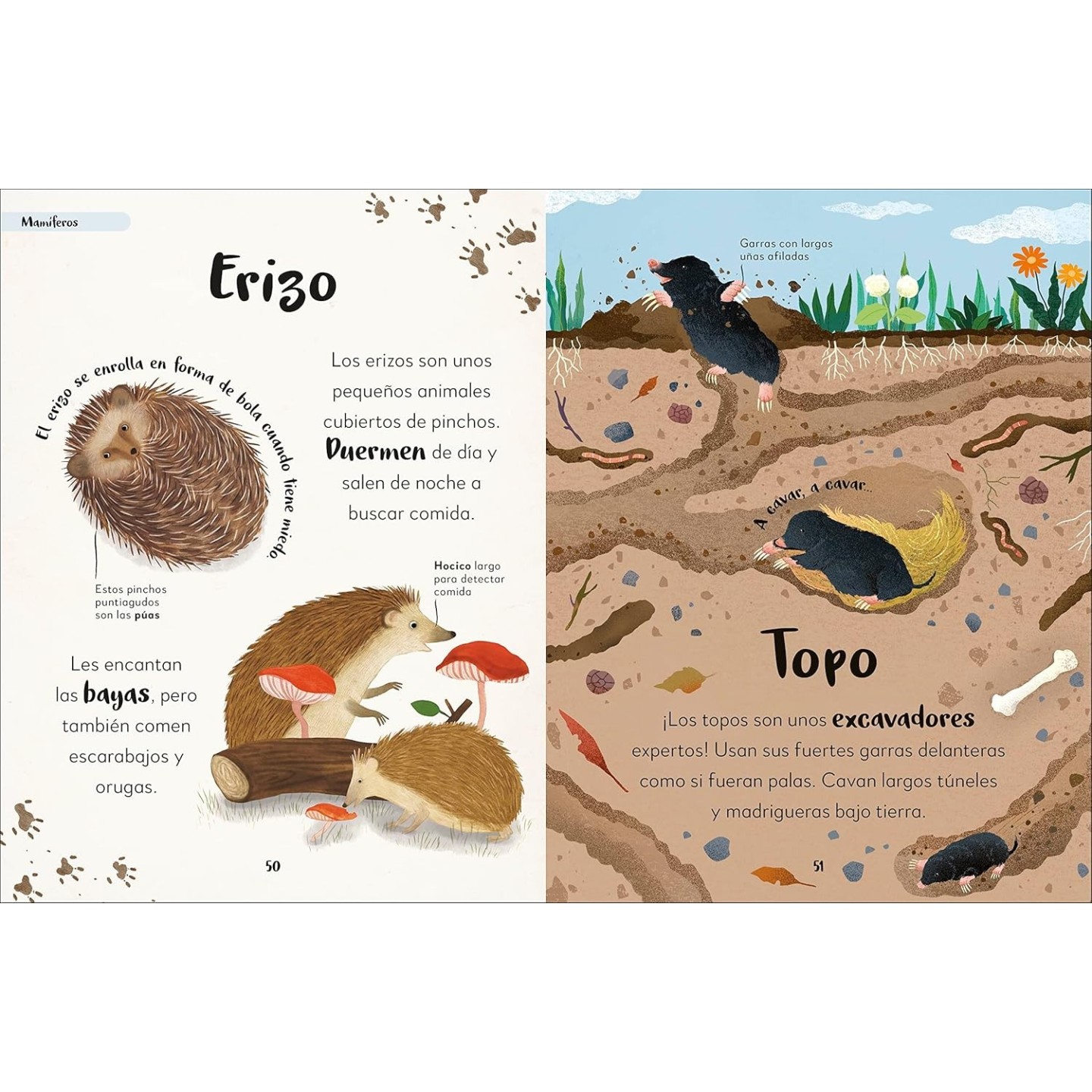 MI PRIMER LIBRO DE ANIMALES
