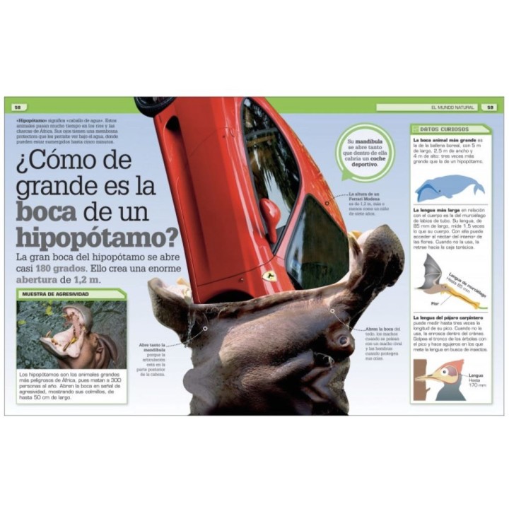 ¿A que no lo sabías? Increíbles comparaciones visuales
