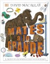 Mates a lo grande: El mundo de los números explicado por mamuts