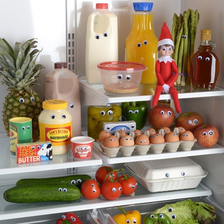 Elfa Exploradora "Elf on The Shelf"