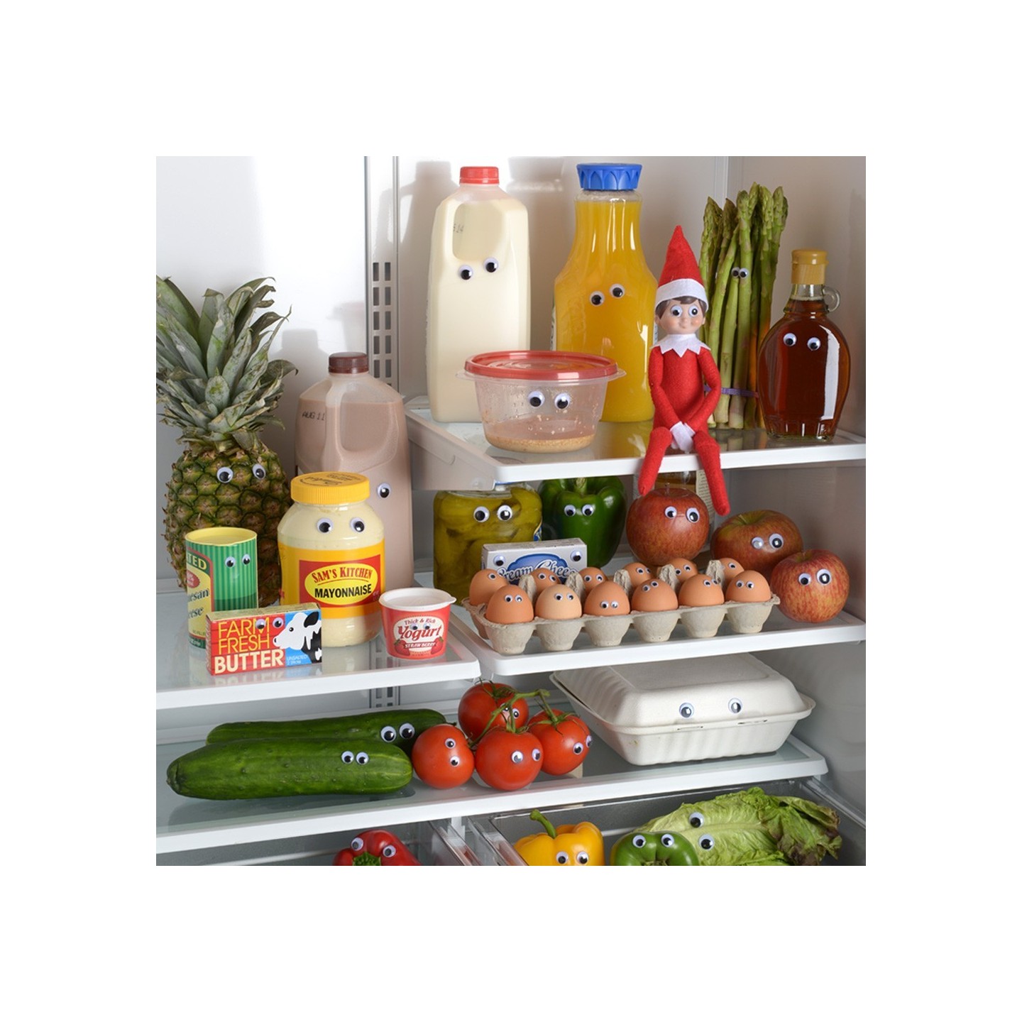 Elfa Exploradora "Elf on The Shelf"