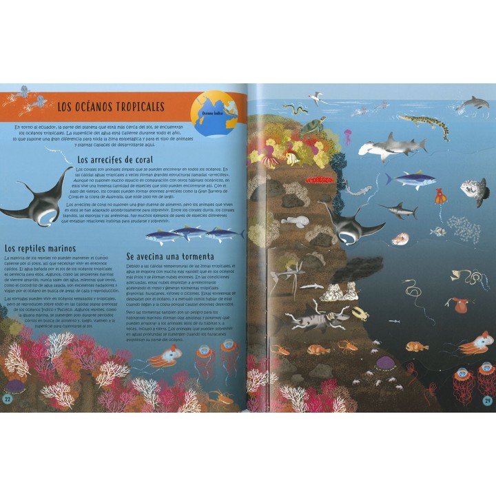 Capa a Capa Descubre el Oceano