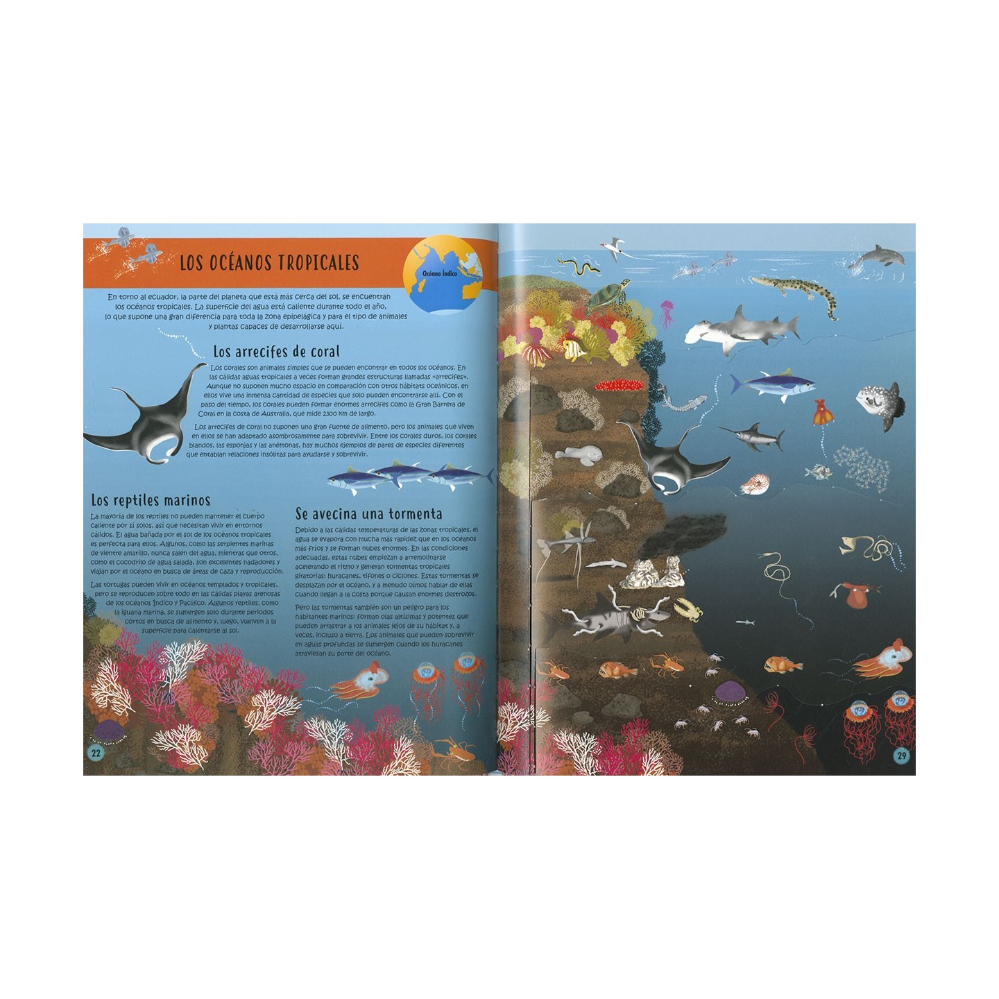 Capa a Capa Descubre el Oceano