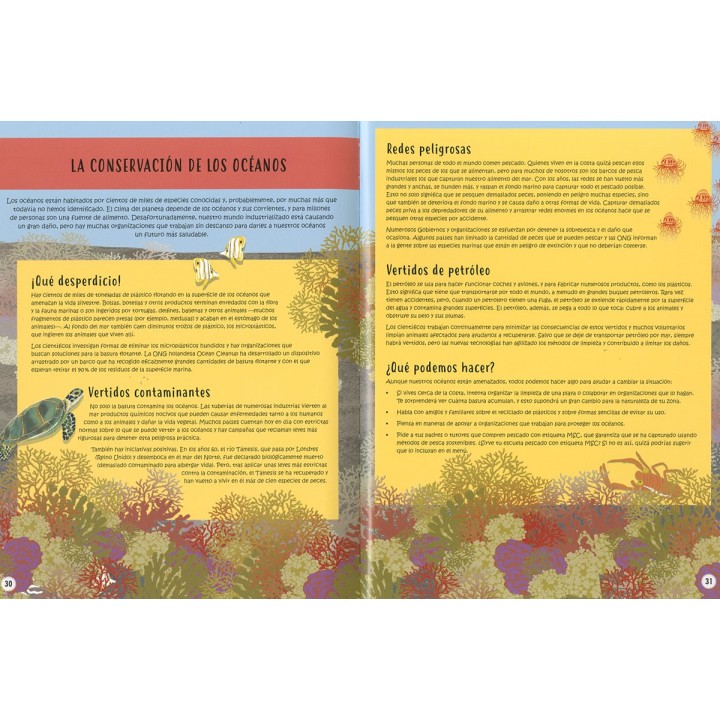 Capa a Capa Descubre el Oceano