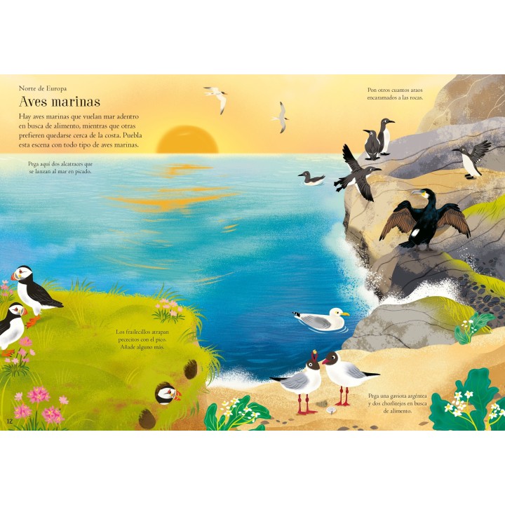 Mi pequeño libro de pegatinas - Aves del mundo