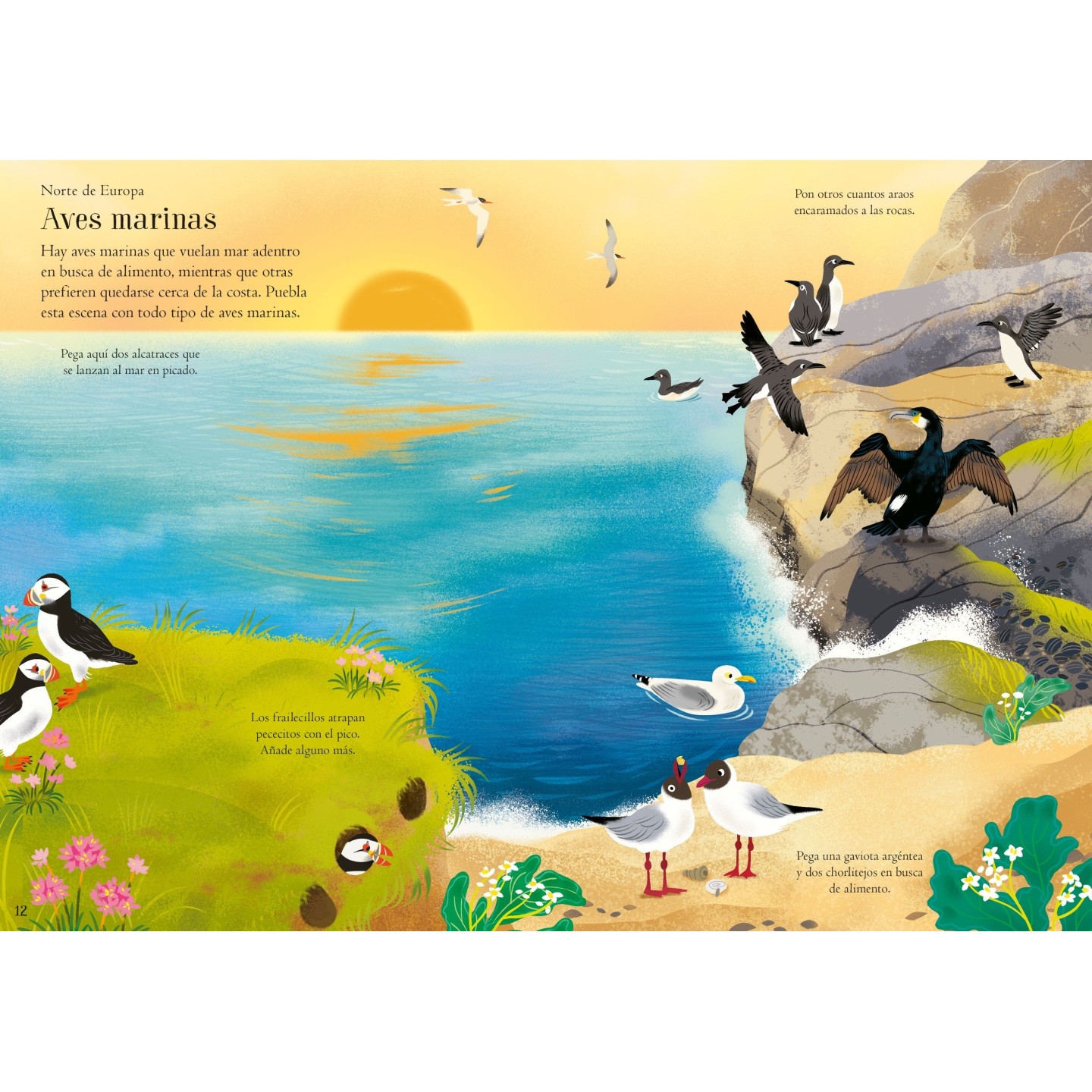 Mi pequeño libro de pegatinas - Aves del mundo