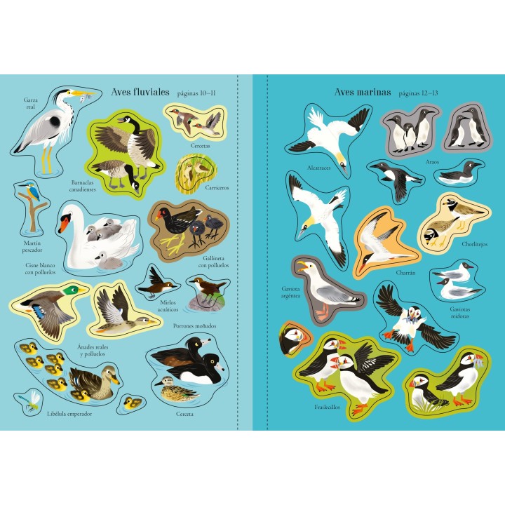 Mi pequeño libro de pegatinas - Aves del mundo