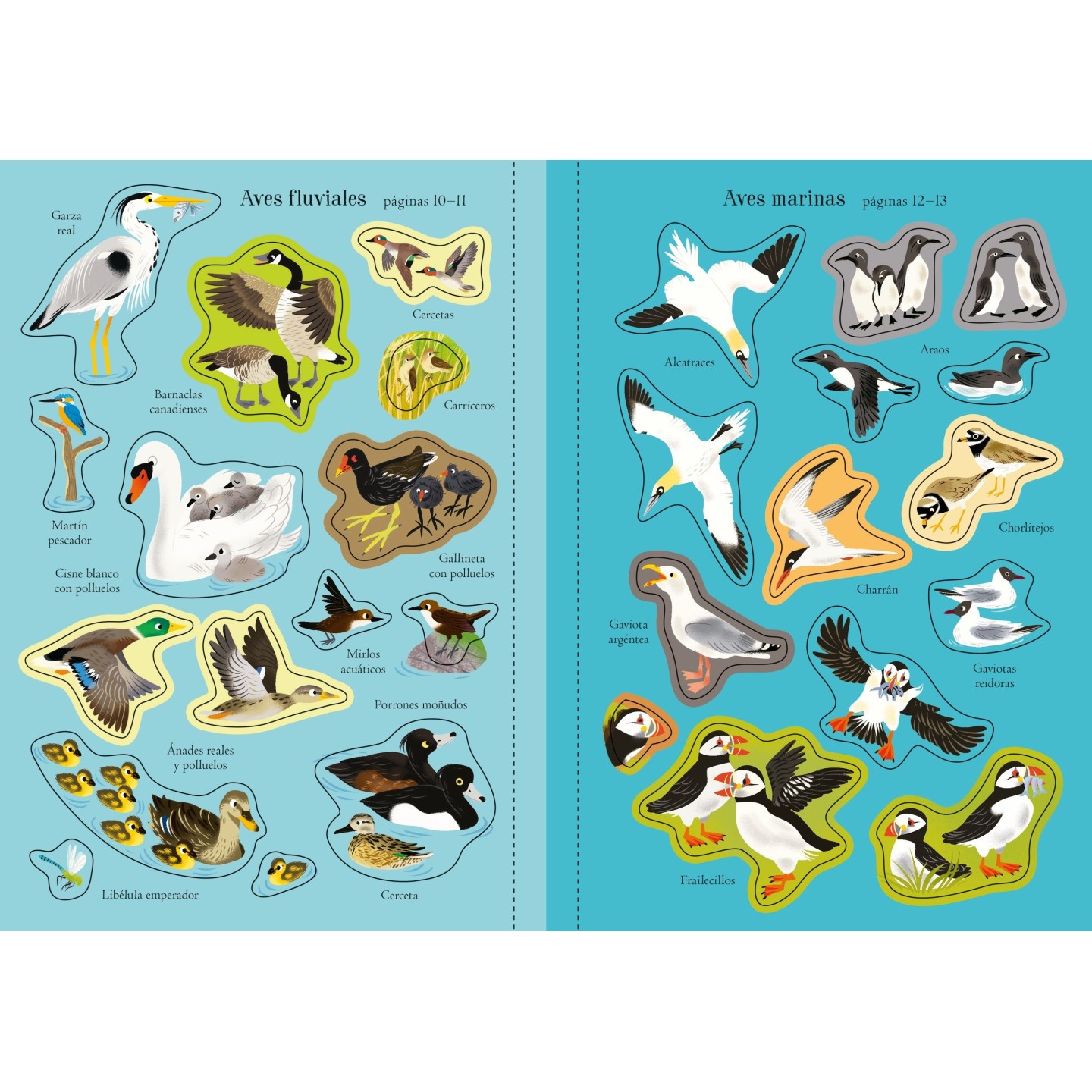 Mi pequeño libro de pegatinas - Aves del mundo