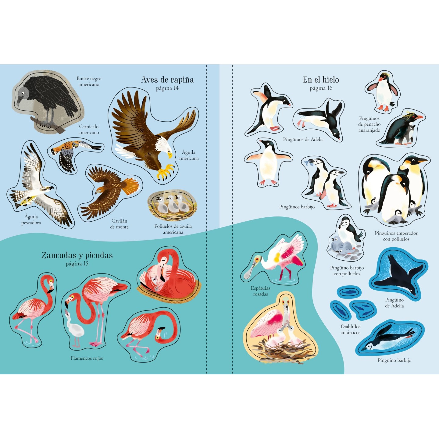 Mi pequeño libro de pegatinas - Aves del mundo