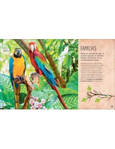La vida secreta de las aves 2