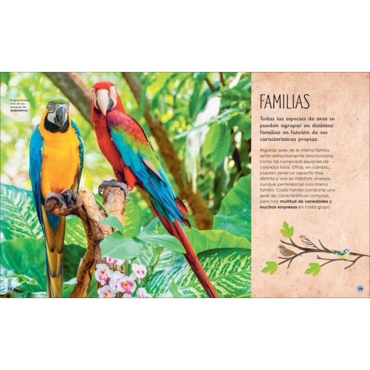La vida secreta de las aves
