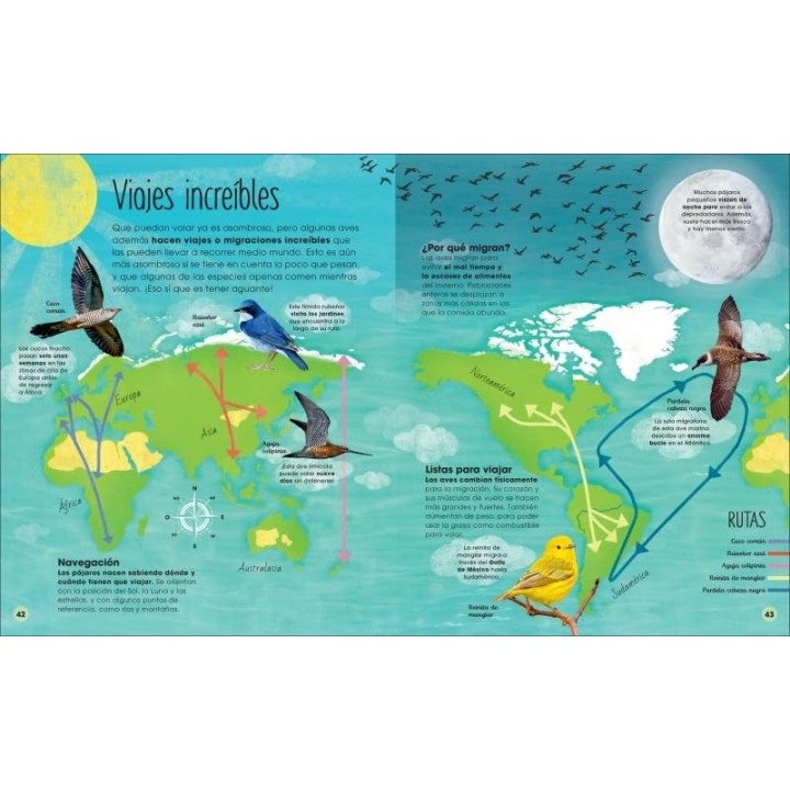 La vida secreta de las aves