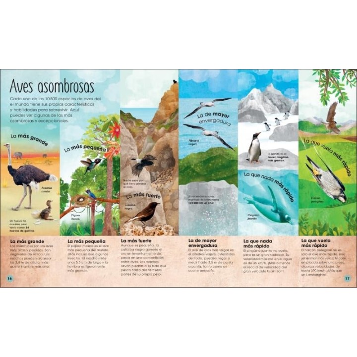 La vida secreta de las aves