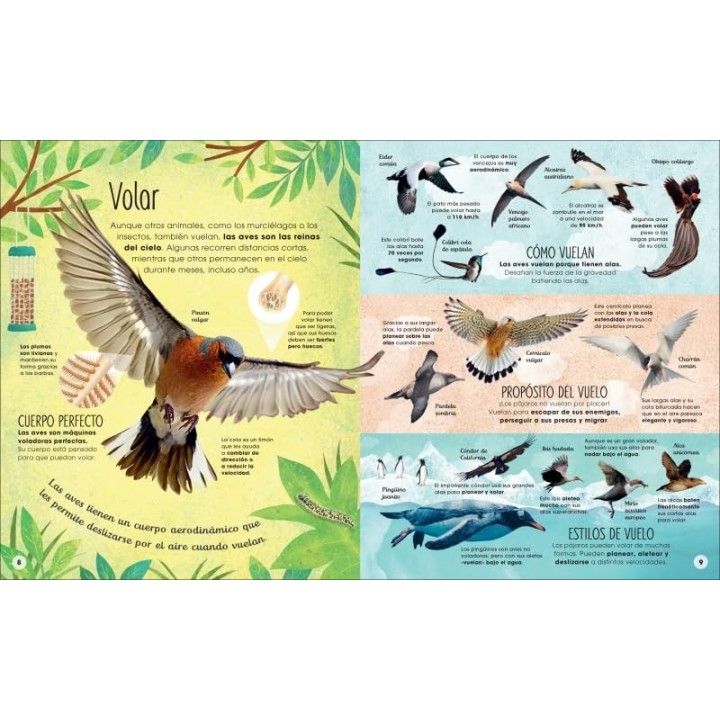 La vida secreta de las aves