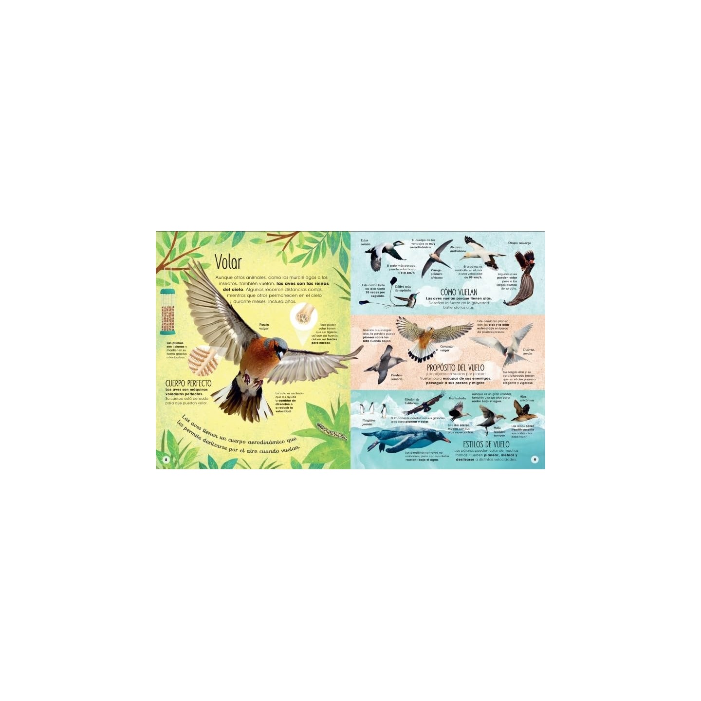 La vida secreta de las aves