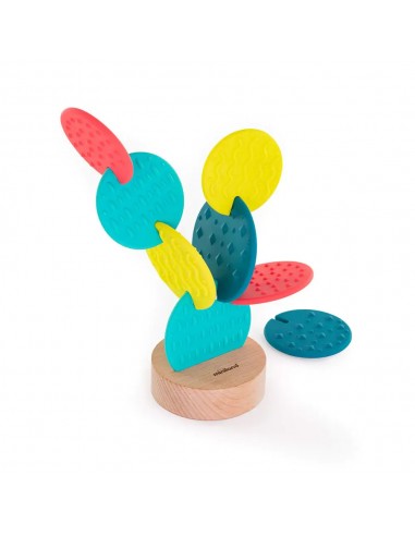 Cactus Sensorial