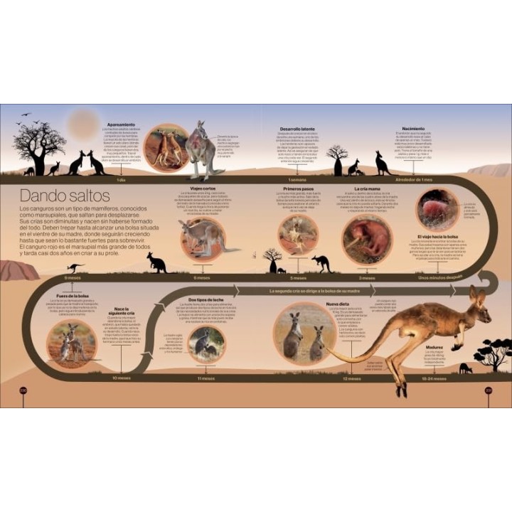 Los ciclos de la naturaleza
