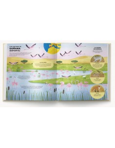 Mapamundi de los animales 2