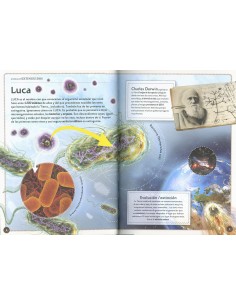 El magnífico libro de animales extinguidos 2