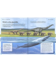 El magnífico libro de las ballenas 2