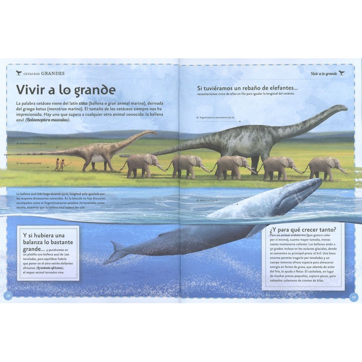 El magnífico libro de las ballenas
