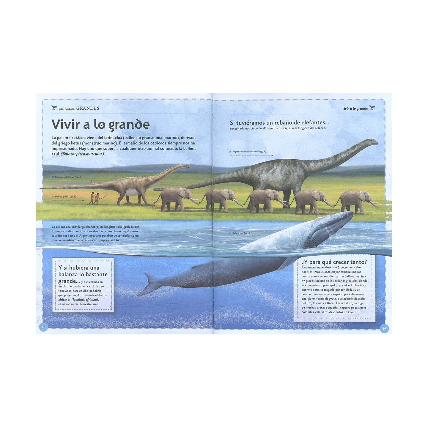 El magnífico libro de las ballenas